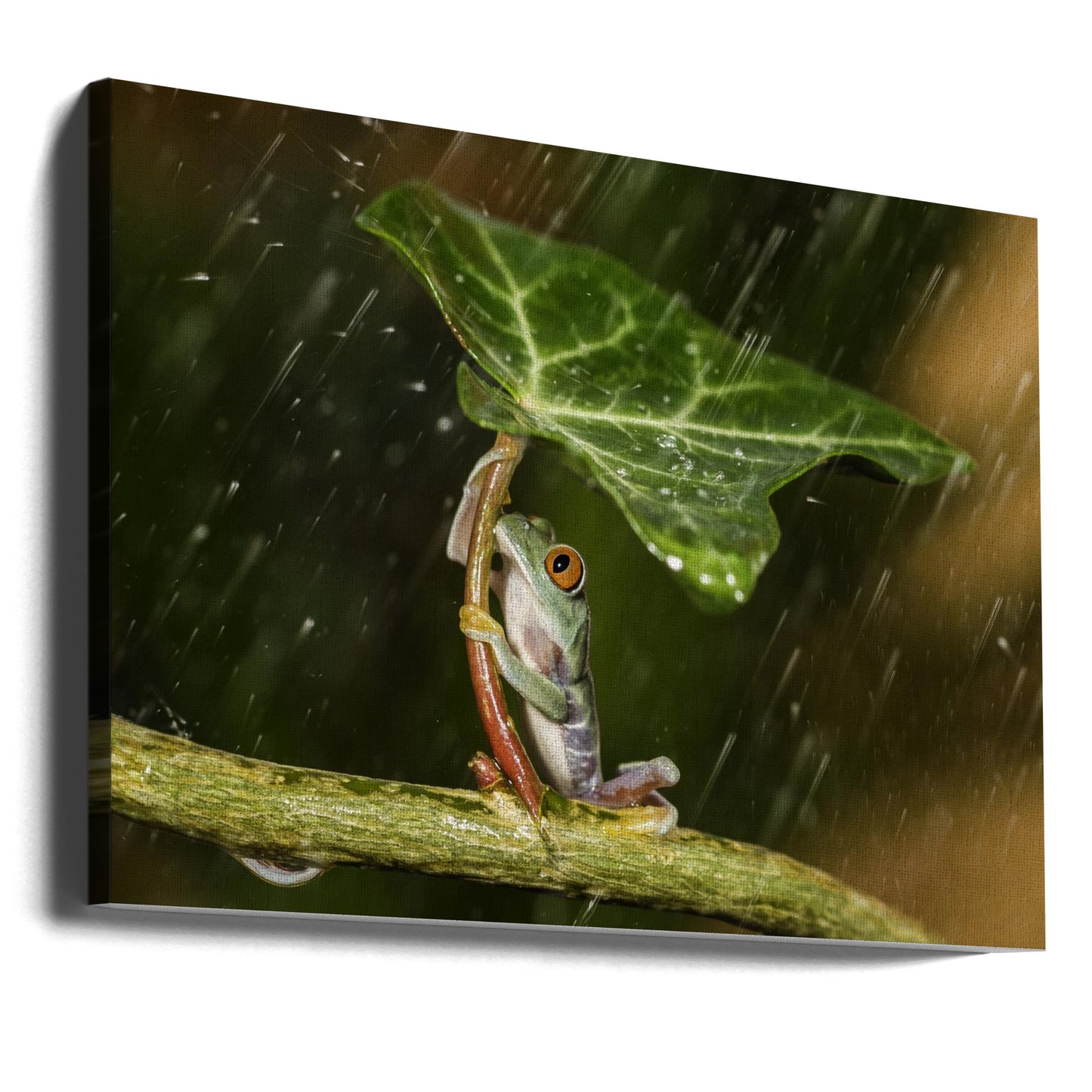 Ohh Nee :( Het regent | Canvasprints