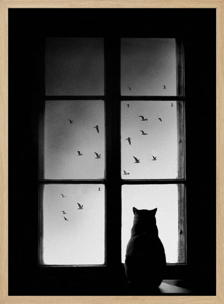 winter is coming | Poster