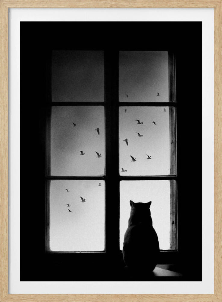 winter is coming | Poster
