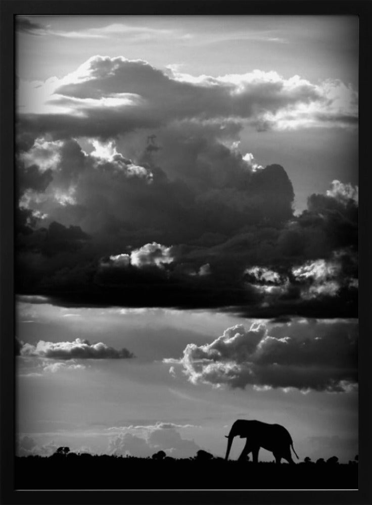 He walks under an African Sky | Poster