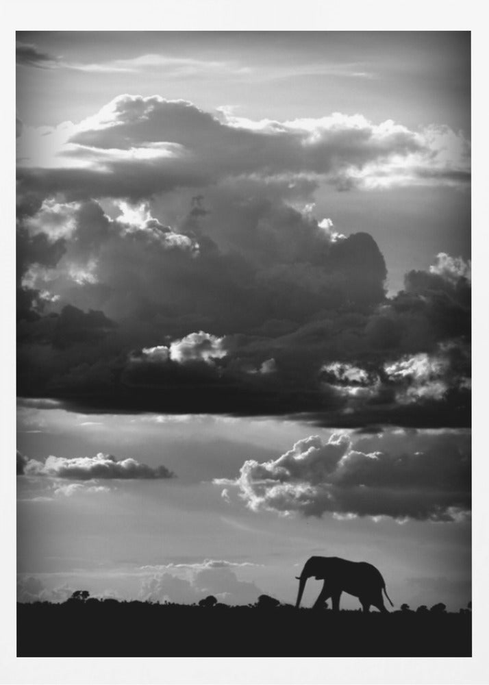 He walks under an African Sky | Poster