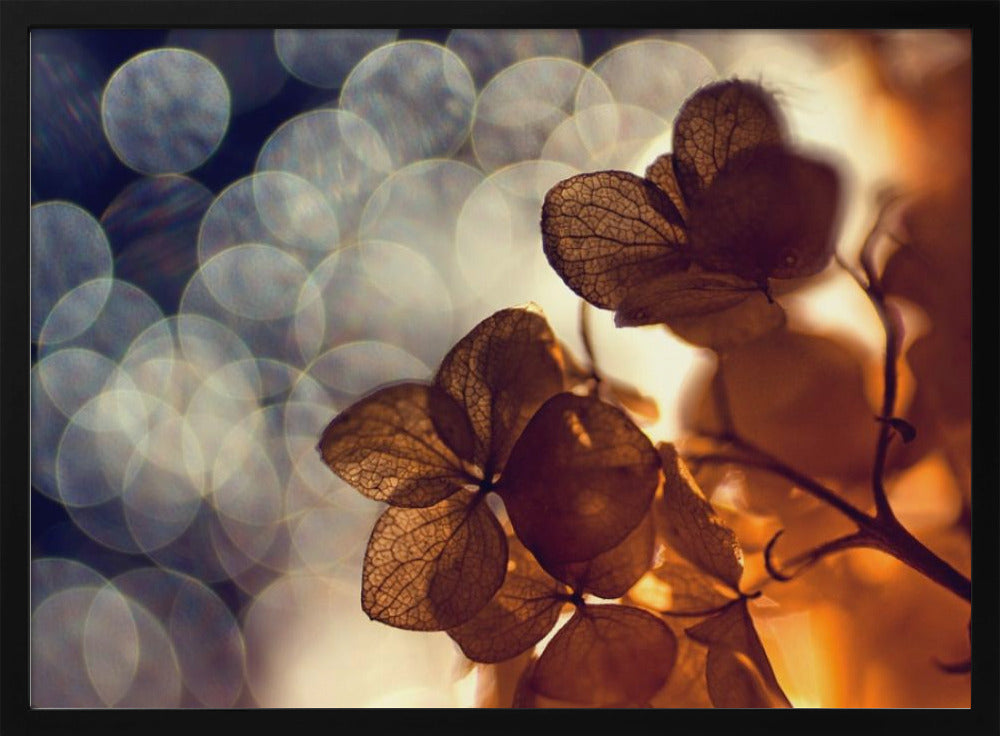 .:.:.** | Julisteet - Taidevedokset