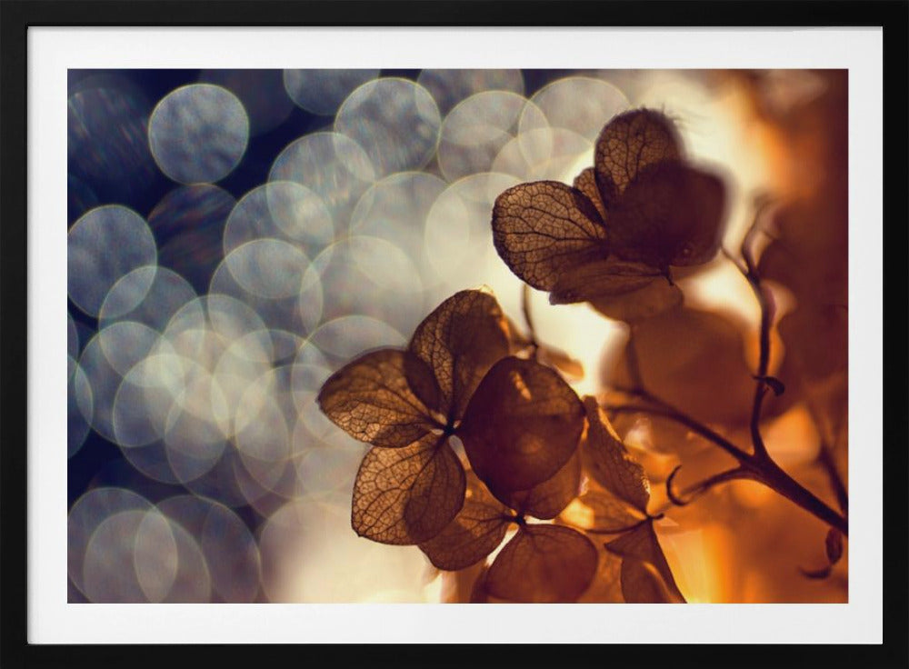 .:.:.** | Julisteet - Taidevedokset