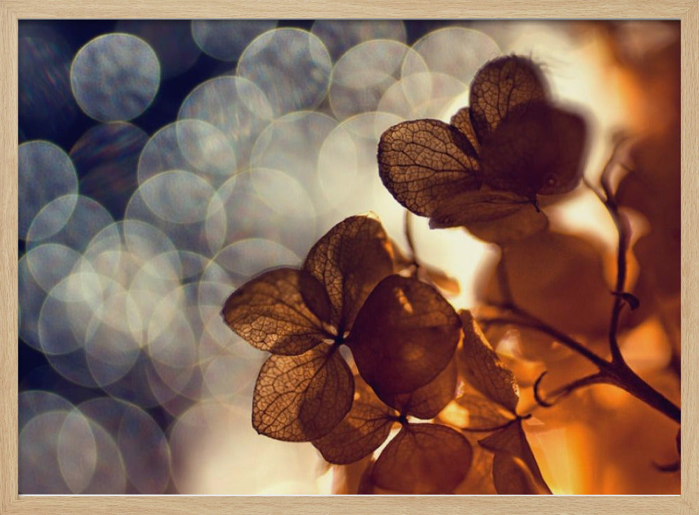 .:.:.** | Julisteet - Taidevedokset