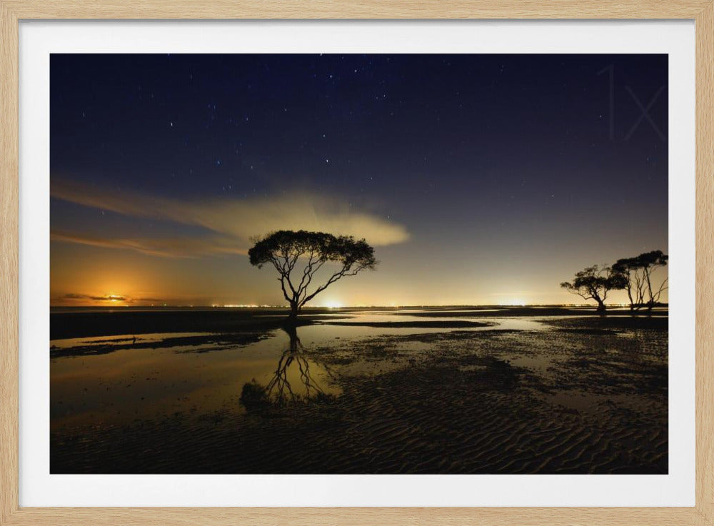 Kuunnousu | Julisteet - Taidevedokset