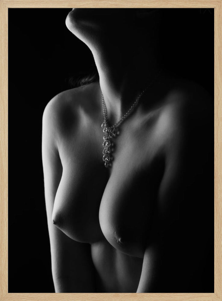 Nackte Kurven | Poster