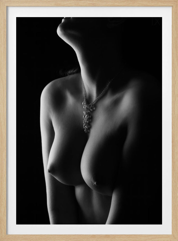 Nackte Kurven | Poster