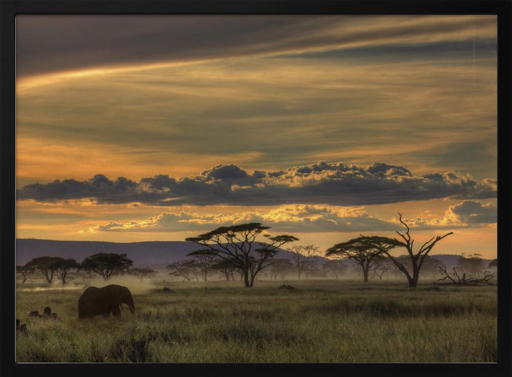 Africa | Poster