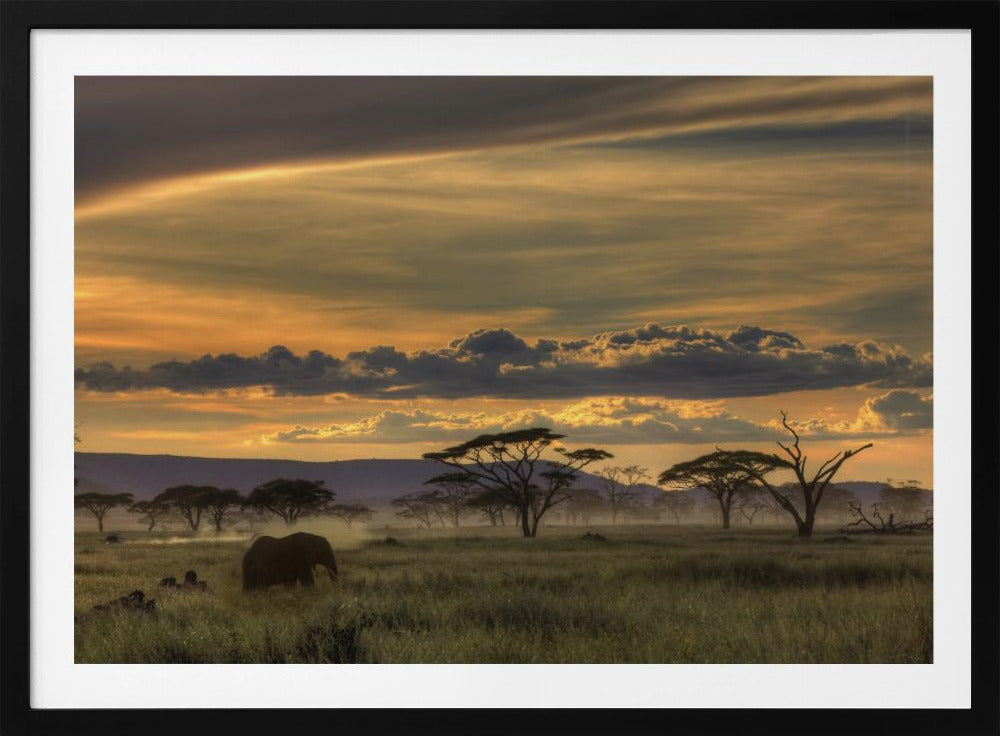 Africa | Poster
