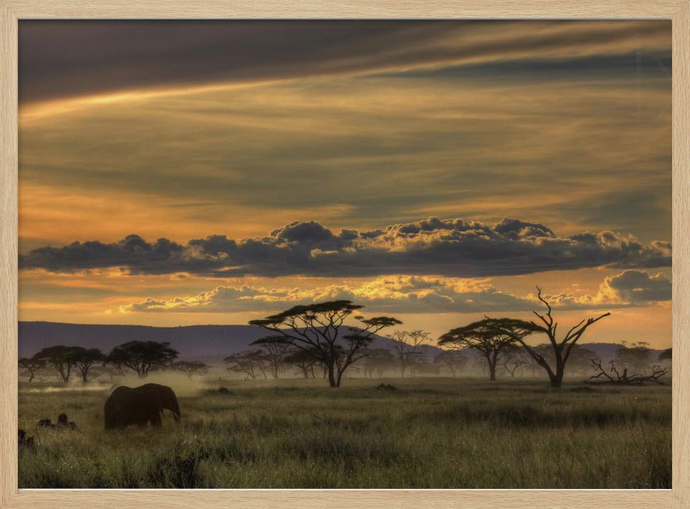 Africa | Poster