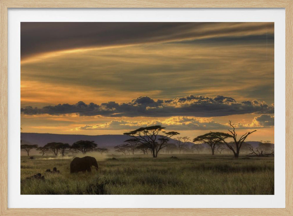Africa | Poster