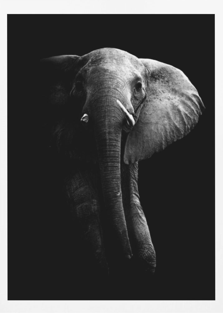 Elephant! | Poster