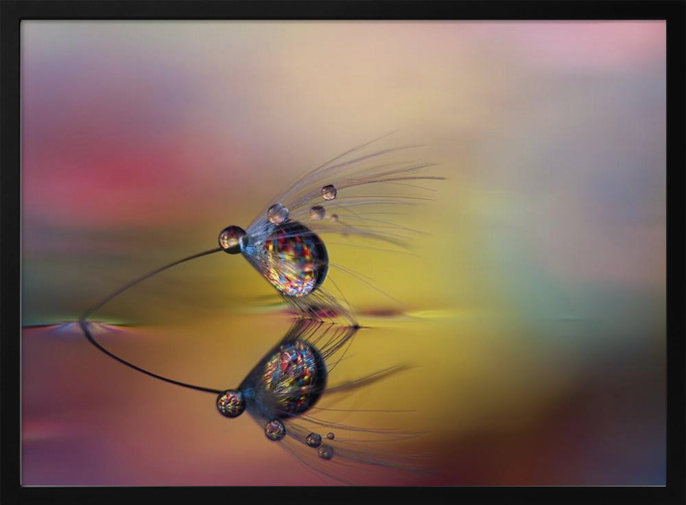 Väritä pimeys | Julisteet - Taidevedokset