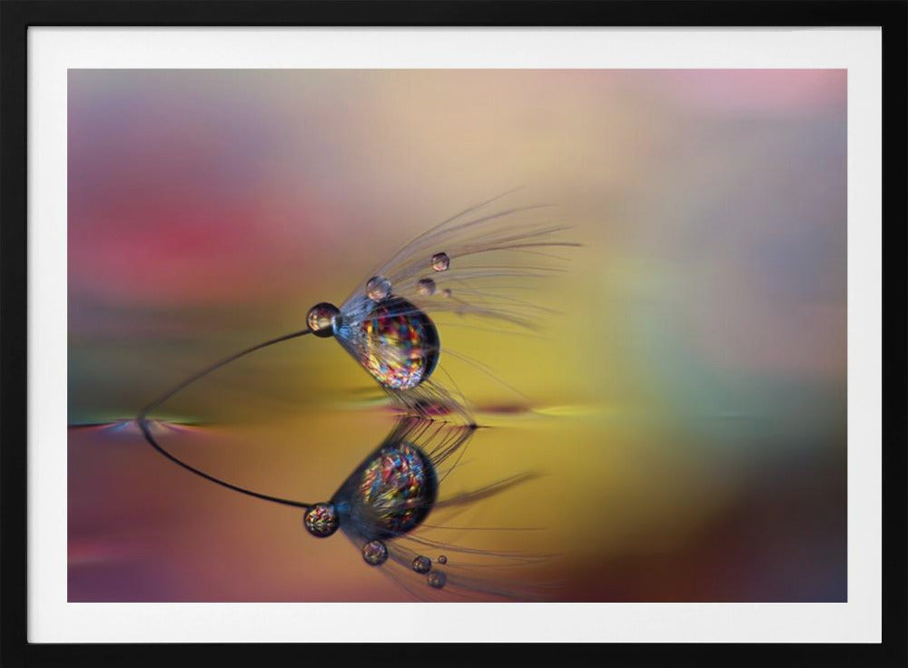 Väritä pimeys | Julisteet - Taidevedokset