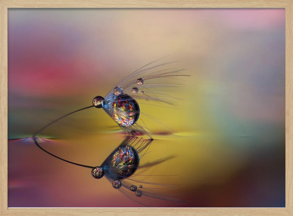 Väritä pimeys | Julisteet - Taidevedokset