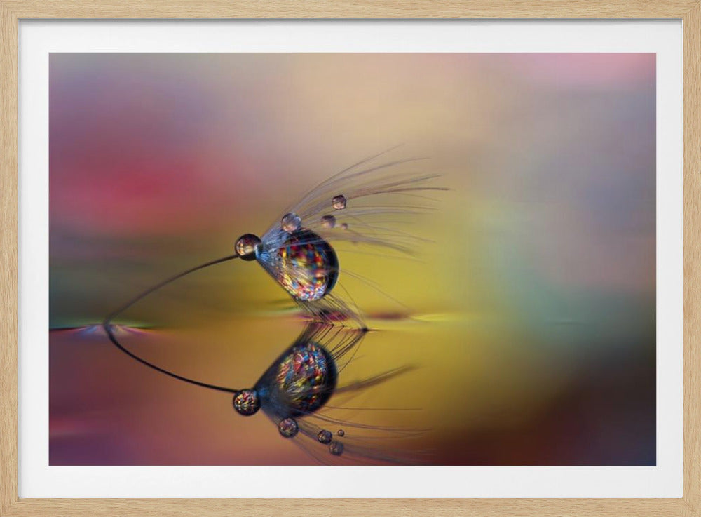 Väritä pimeys | Julisteet - Taidevedokset