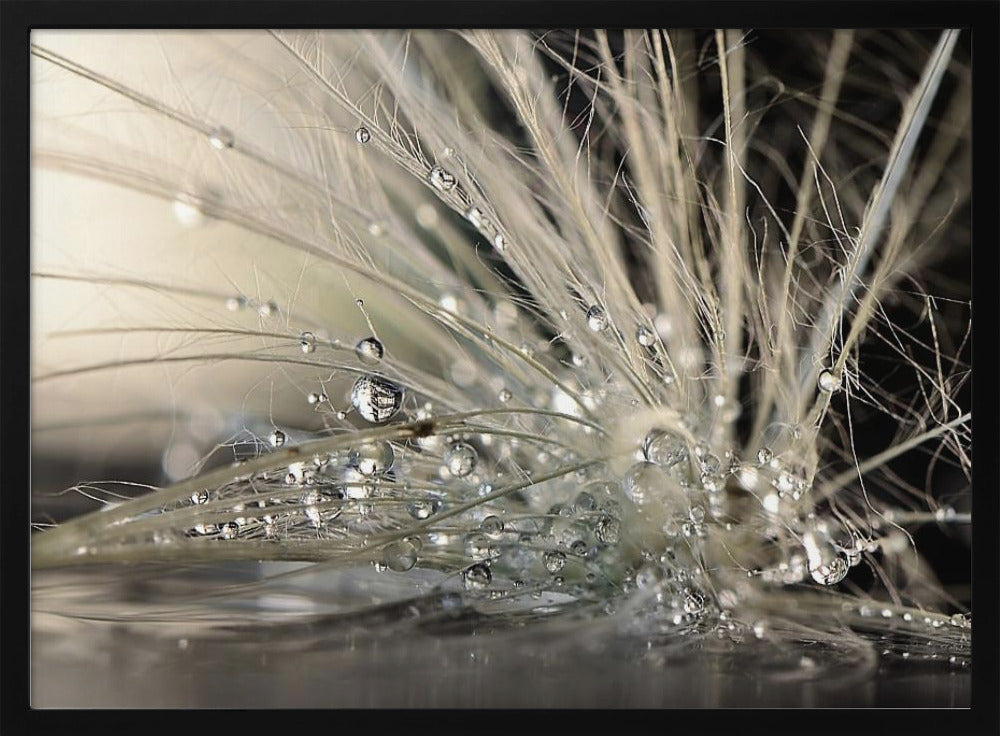 Helmet | Julisteet - Taidevedokset