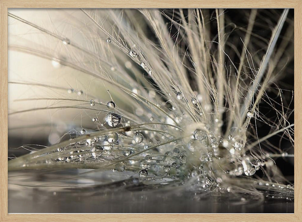 Helmet | Julisteet - Taidevedokset