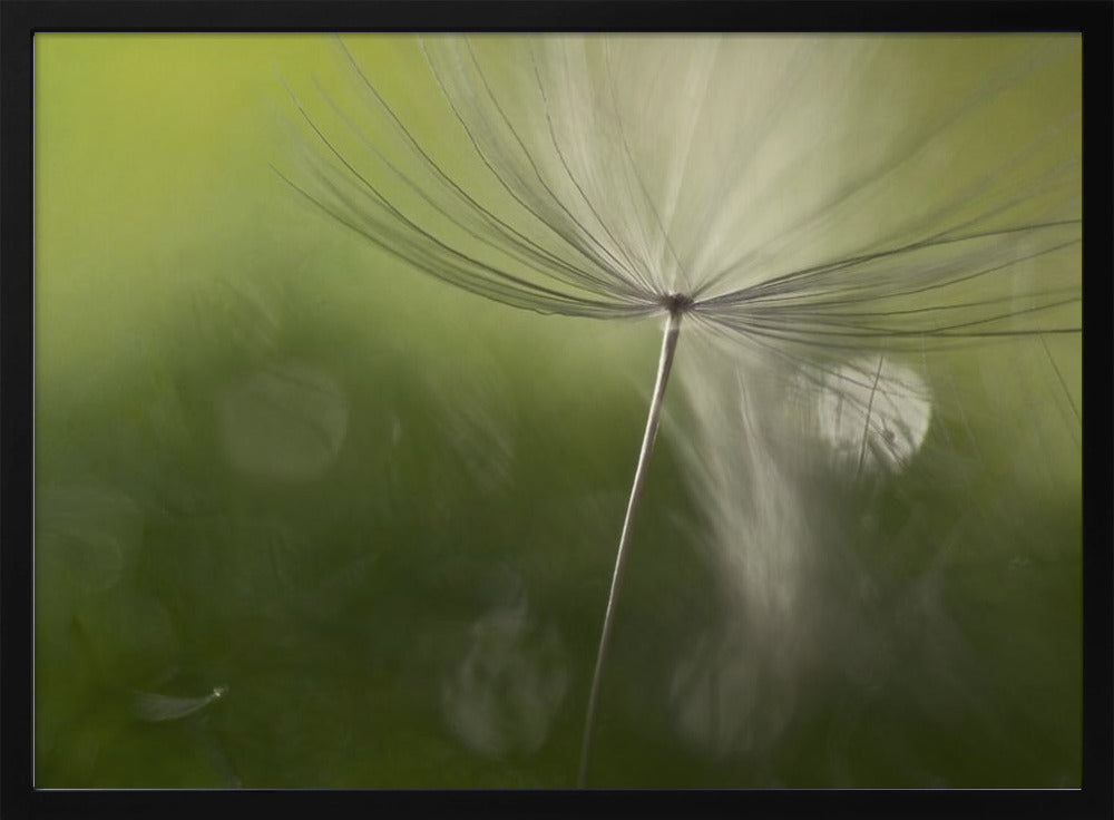 Varjot vihreässä | Julisteet - Taidevedokset