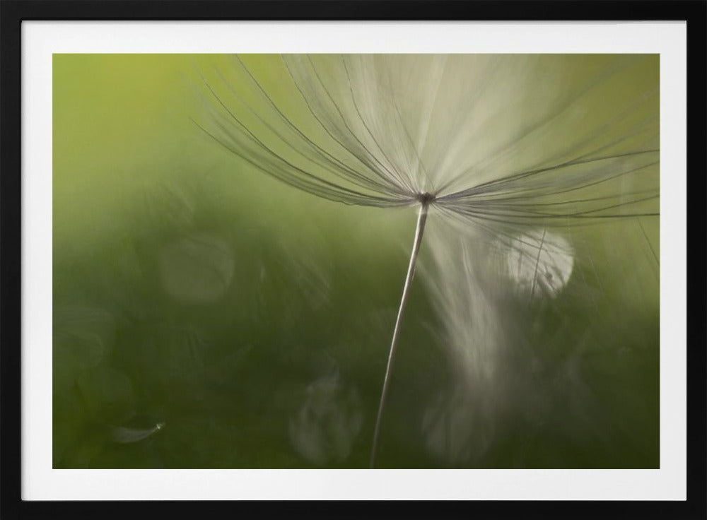 Varjot vihreässä | Julisteet - Taidevedokset