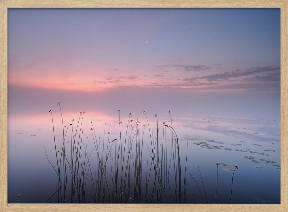 Lake | Poster