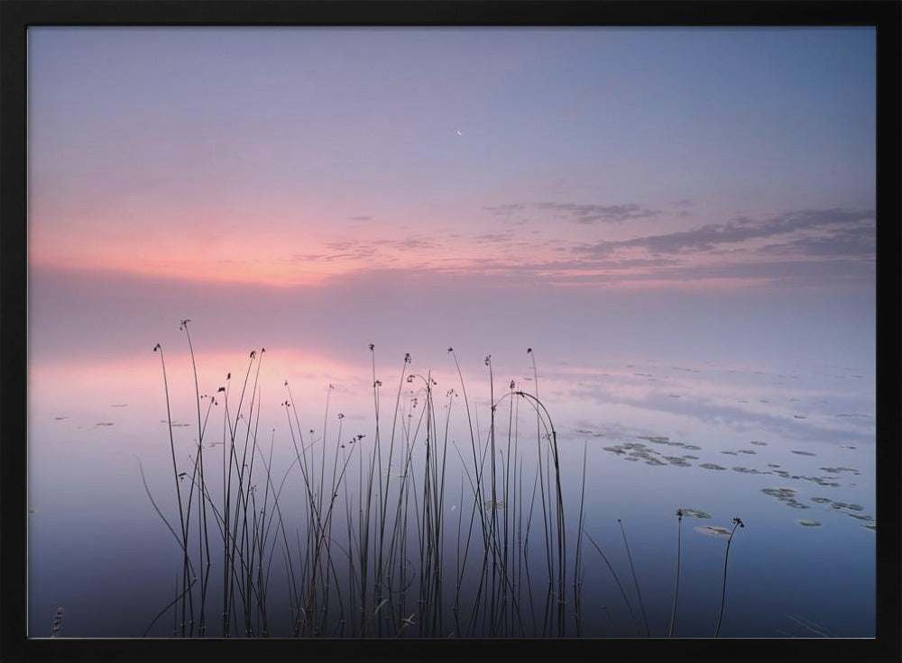 Järvi | Julisteet - Taidevedokset