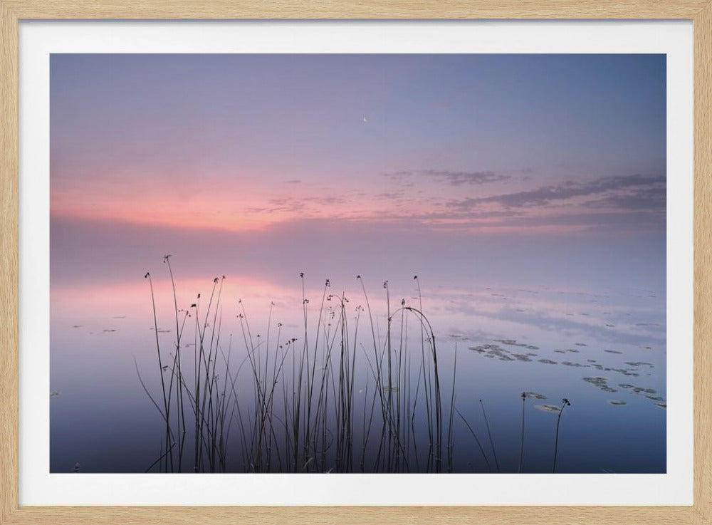 Järvi | Julisteet - Taidevedokset