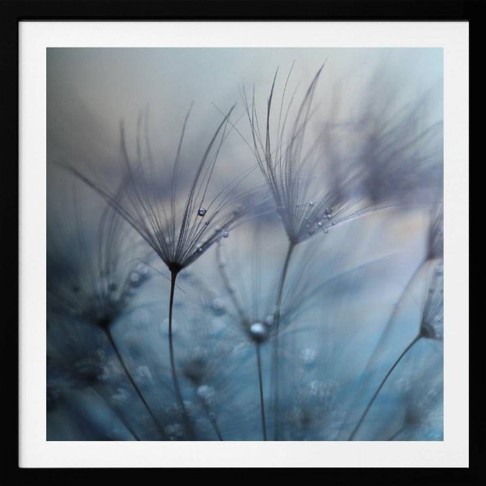 Teardrops | Poster