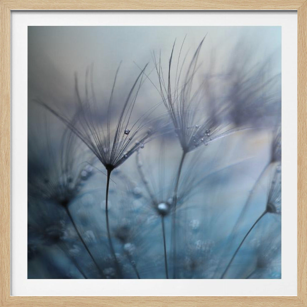 Teardrops | Poster