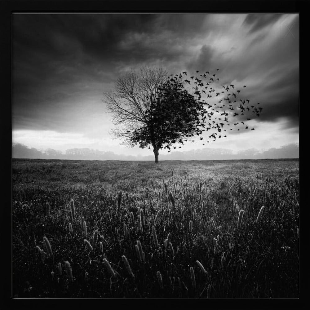Illusion d'un printemps perdu | Poster