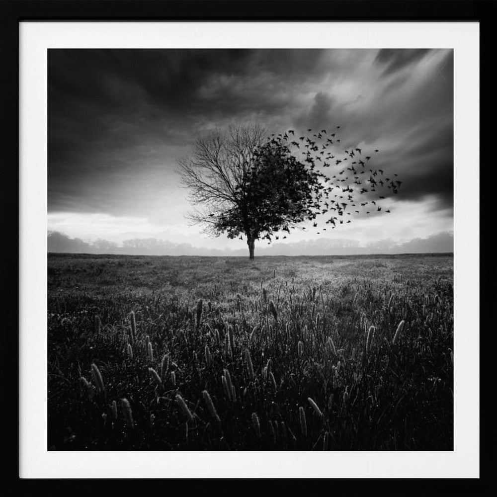 Illusion d'un printemps perdu | Poster