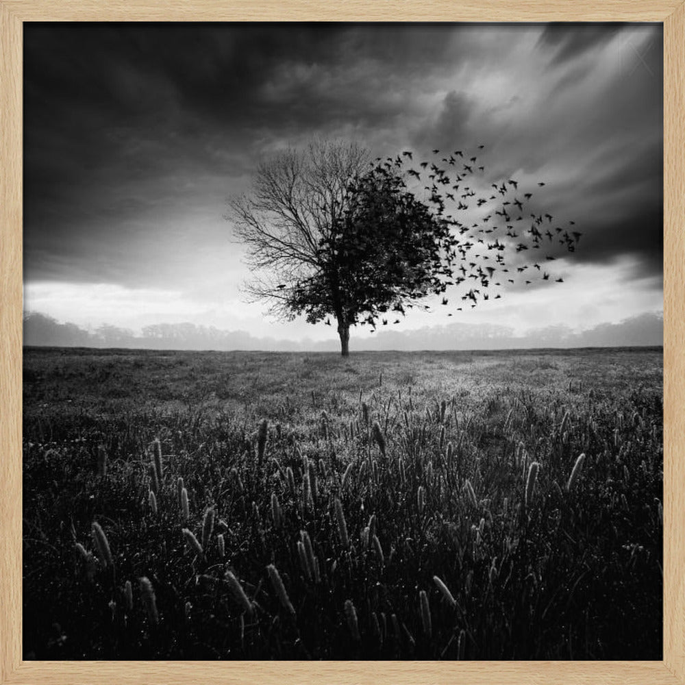 Illusion d'un printemps perdu | Poster
