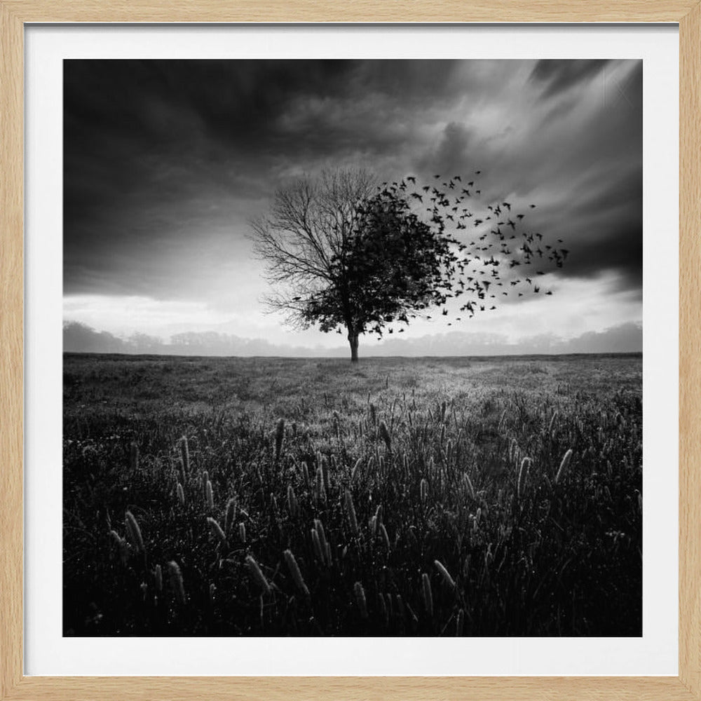 Illusion d'un printemps perdu | Poster