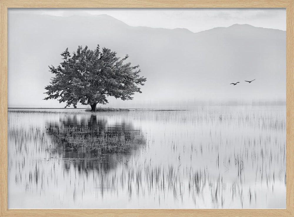 Spring Mirror | Poster