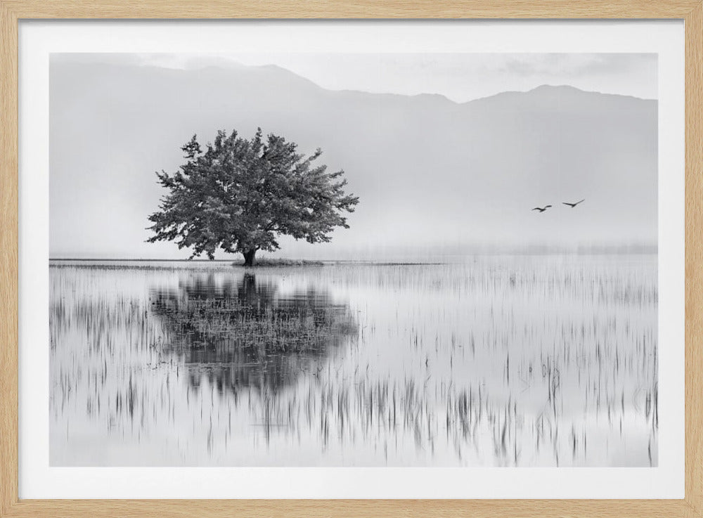Spring Mirror | Poster