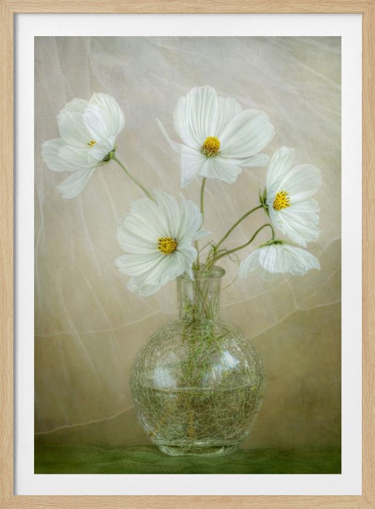 Kosmosbrise | Poster - Kunstdruck