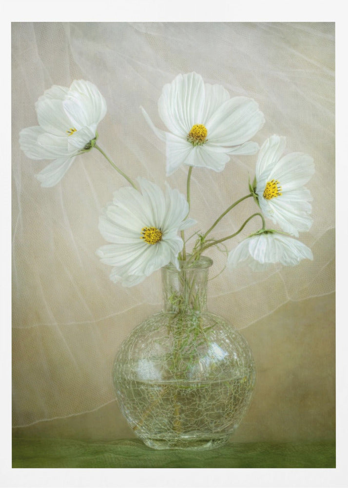 Cosmos breeze | Poster