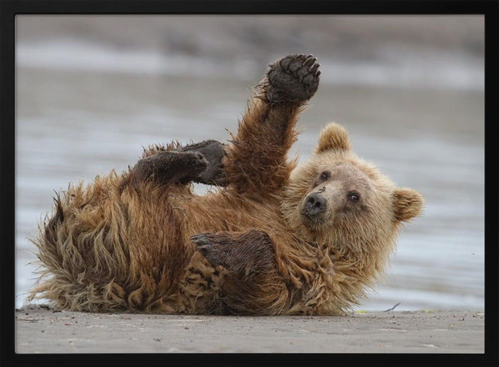 Ylävitonen | Julisteet - Taidevedokset