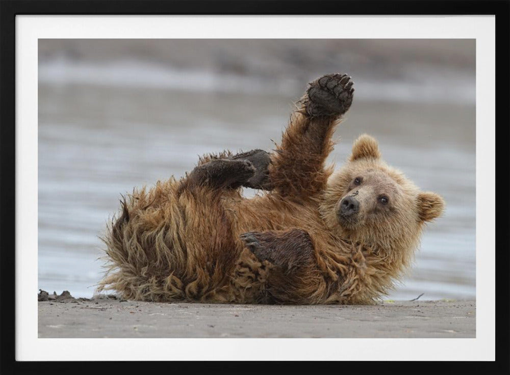 Ylävitonen | Julisteet - Taidevedokset