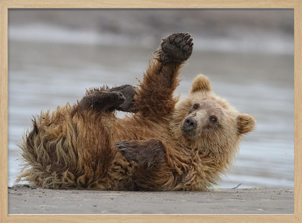 Ylävitonen | Julisteet - Taidevedokset