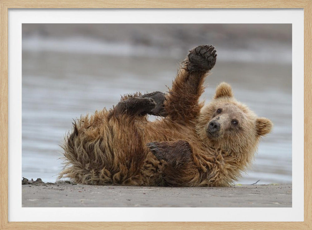 Ylävitonen | Julisteet - Taidevedokset