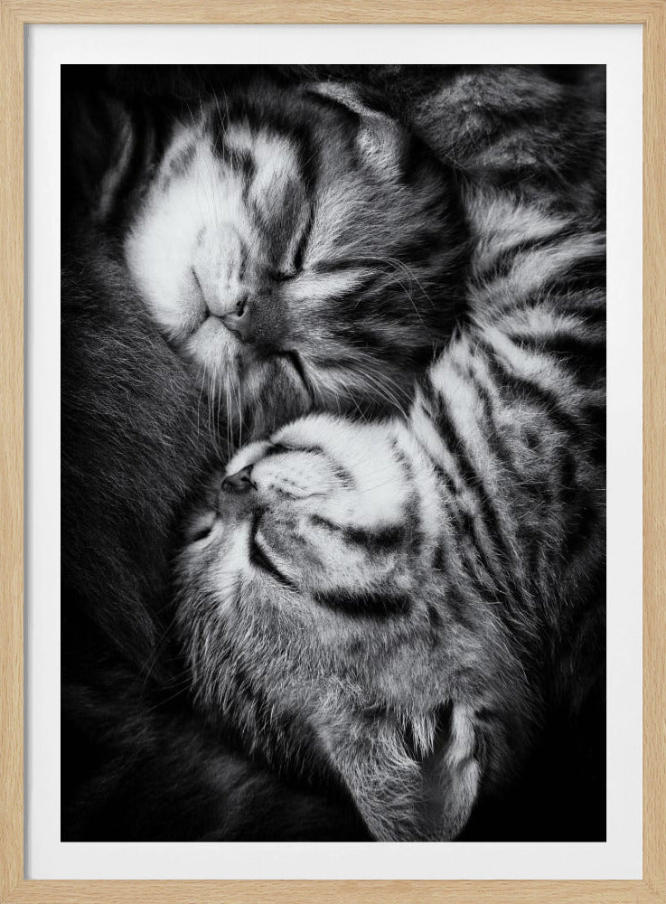 Yin and Yang | Poster