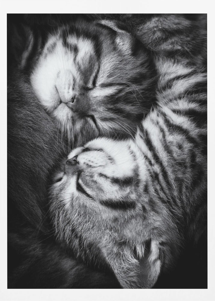 Yin and Yang | Poster