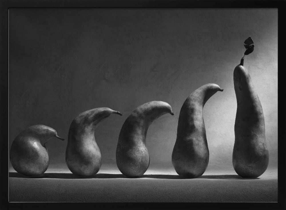 The evolution | Poster