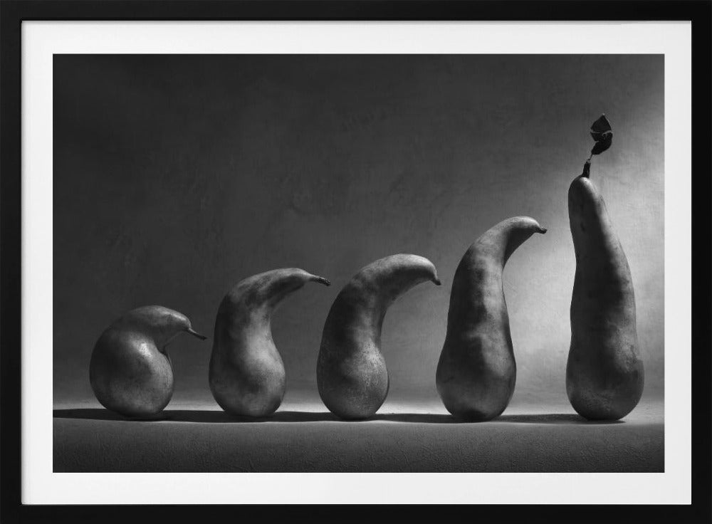 The evolution | Poster