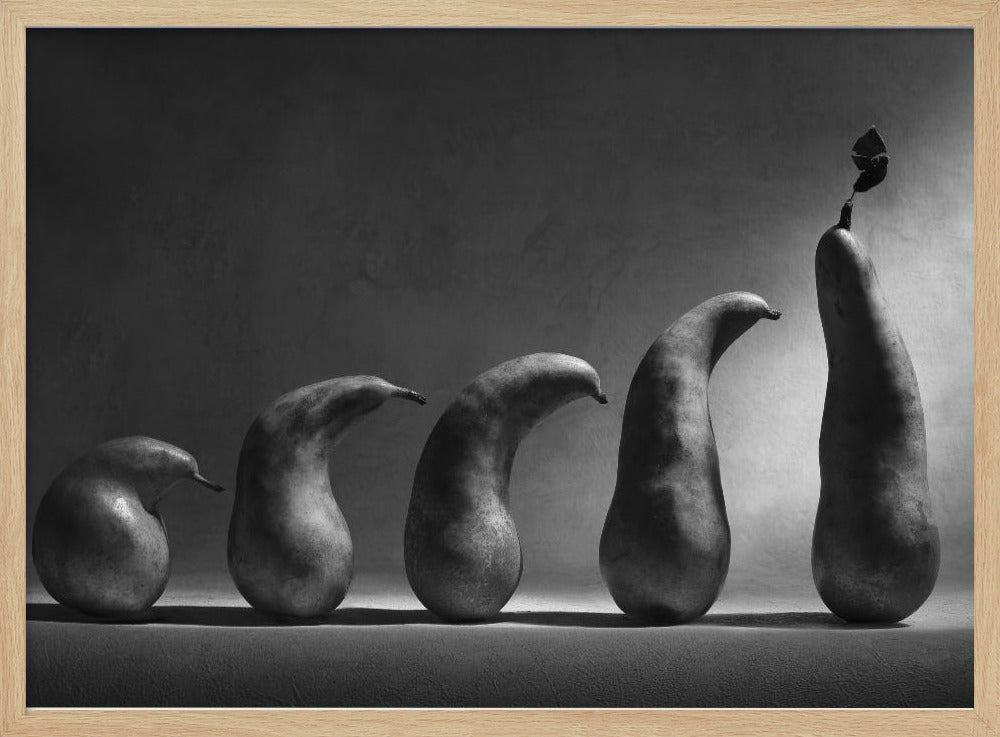The evolution | Poster