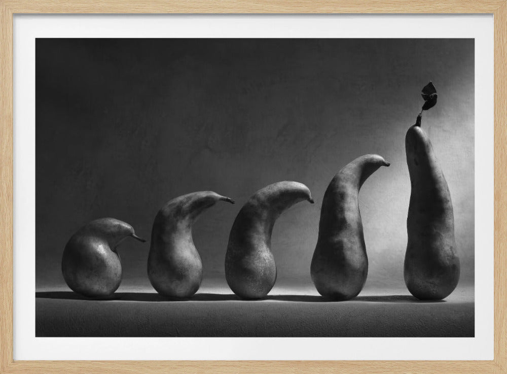 The evolution | Poster