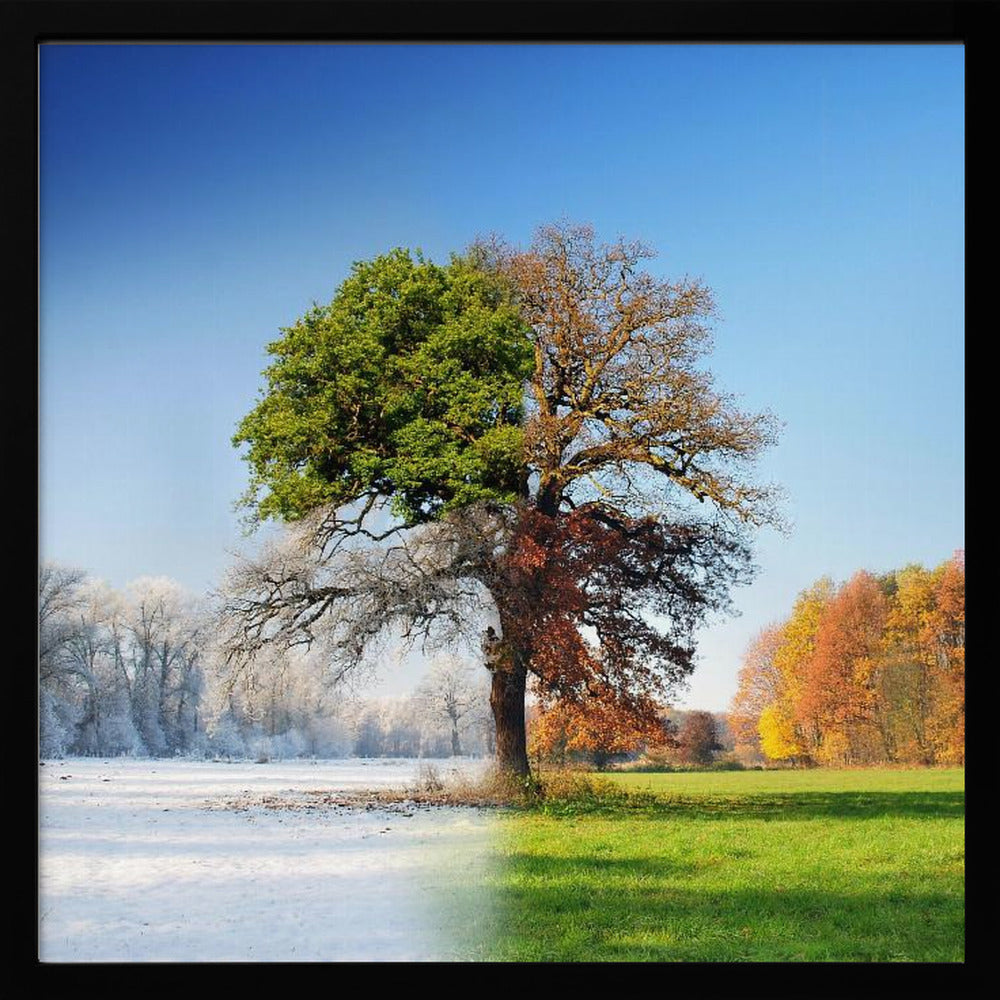 4 seasons | Poster