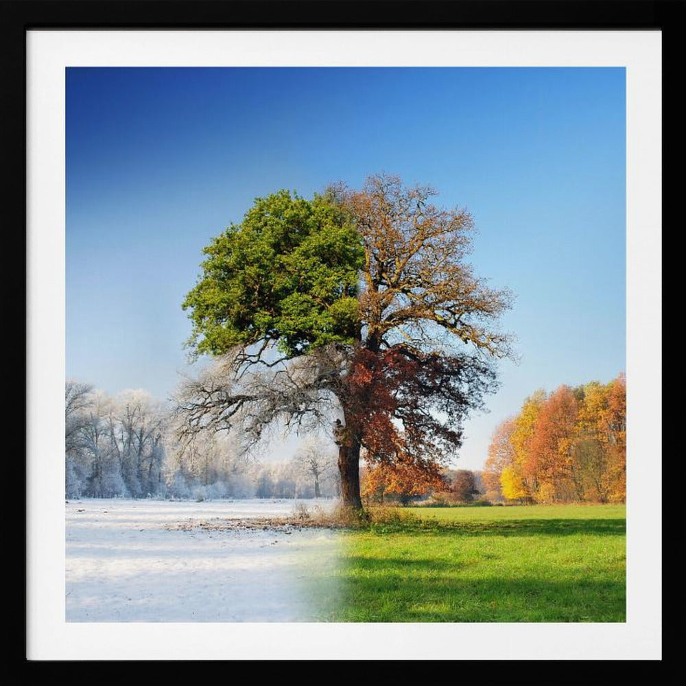 4 seasons | Poster
