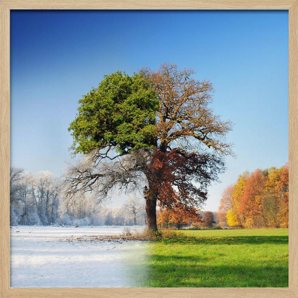 4 seasons | Poster